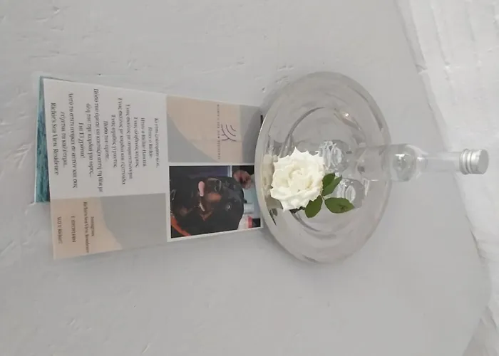 Apartment Richie's Sea View Romantic Residences Ipsila